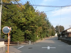 2011.10.11.shigeyanagi2.JPG