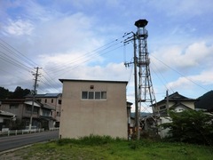 2012.08.13.ishikawa-nakatani1.JPG